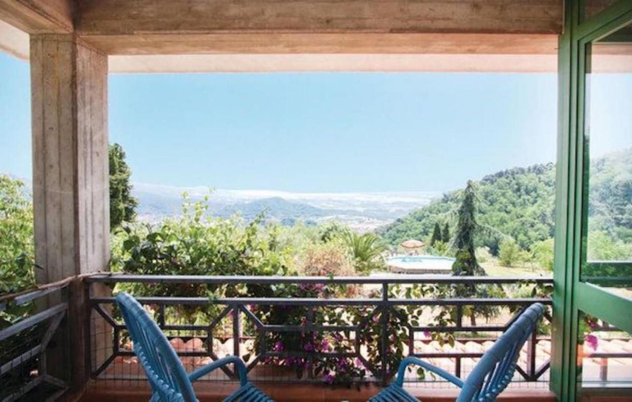 Villa Las Palmas By Nicola Real Estate Corsanico-Bargecchia المظهر الخارجي الصورة