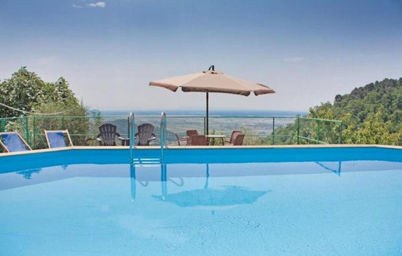 Villa Las Palmas By Nicola Real Estate Corsanico-Bargecchia المظهر الخارجي الصورة